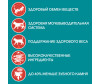  Purina ONE         75  - Purina ONE         75 
