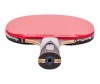  Ping-Pong      Vortex - Ping-Pong      Vortex