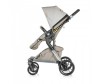 - Chipolino Fusion - Chipolino Fusion