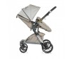 - Chipolino Fusion - Chipolino Fusion