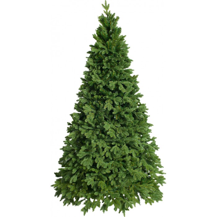  Crystal Trees    300 