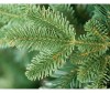  Crystal Trees    300  - Crystal Trees    300 