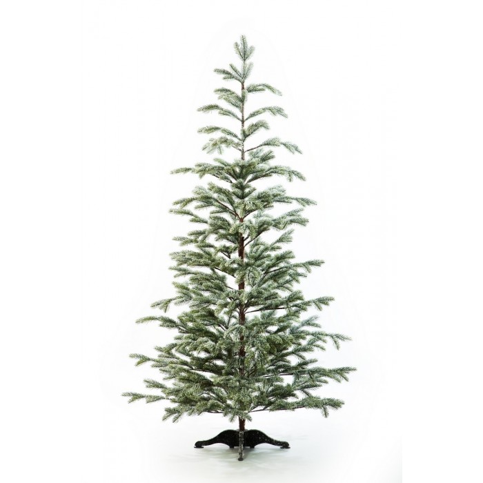  Crystal Trees      180 