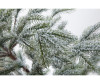  Crystal Trees      180  - Crystal Trees      180 