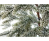  Crystal Trees      180  - Crystal Trees      180 