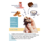  ProteinRex      NUTS - Vegan 170  40  - 3-1648472559