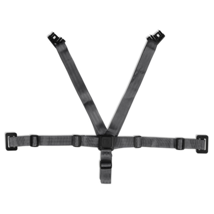  Moji   Harness   Yippy