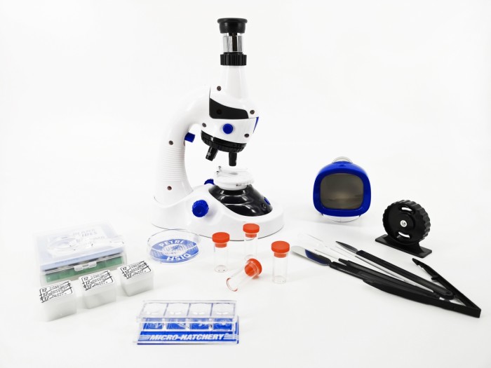  Edu-Toys   MS-926 100x900