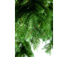  Crystal Trees    215  - Crystal Trees    215 