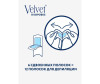  Velvet     Argan oil   12 . - Velvet     Argan oil   12 /