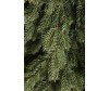  Crystal Trees    - 300  - Crystal Trees    - 300 