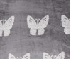  Dream Time   BL0317-1 150200 - Dream Time   BL0317-1 150200