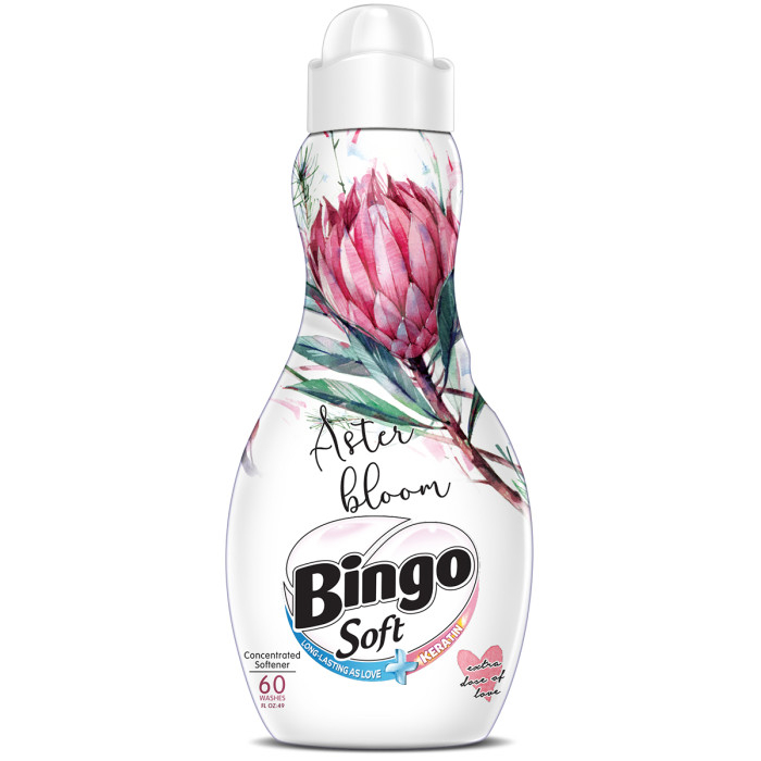  Bingo  Aster Bloom Soft    1440 