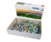  Dino    (1000 ) - Dino    1000 
