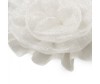  Scool      Classic 384712/384713 - Scool      Classic 384712/384713