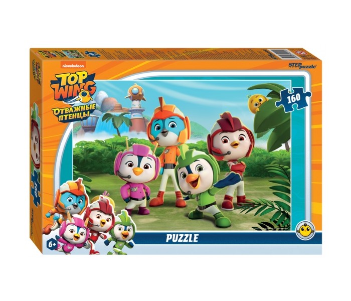  Step Puzzle    (160 )