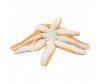   Keel Toys  40  - Keel Toys  40 