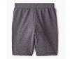  Elaria    Sfb-01-3 - Elaria    Sfb-01-3