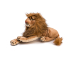   KiDWoW  301217137 - DW103501416__2_.JPG-1670348199