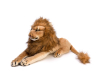   KiDWoW  301217137 - DW104501417__1_.JPG-1670350241