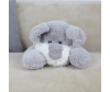   KiDWoW   389144681 - JX605019318GR__1__1_.JPG-1698795422