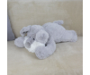   KiDWoW   389144681 - JX605019318GR__3__1_.JPG-1698796210