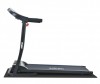  Evo Fitness    Omega - EVO FITNESS    Omega