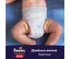  Pampers  - Pants   .6 (15+ ) 18 . - Pampers  - Pants   .6 (15+ ) 18 .