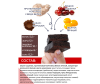  ProteinRex    Brownie    170  50  - 3-1648213340