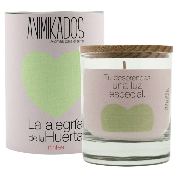  Ambientair   Animikados Lover of life  