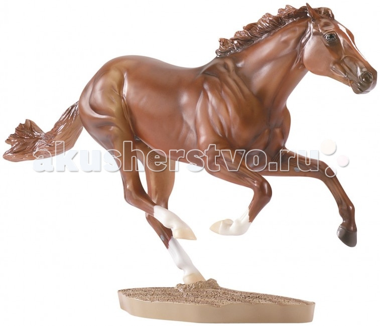  Breyer   (    1973 .  )
