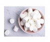  CorNiche   Show White Marshmallow 120  2 . - CorNiche    Show White Marshmallow 120   2 