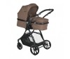 - Bertoni (Lorelli) Starlight - Bertoni (Lorelli)  Starlight