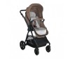 - Bertoni (Lorelli) Starlight - Bertoni (Lorelli)  Starlight