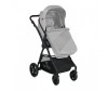 - Bertoni (Lorelli) Starlight - Bertoni (Lorelli)  Starlight
