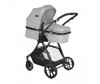- Bertoni (Lorelli) Starlight - Bertoni (Lorelli)  Starlight