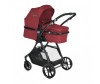 - Bertoni (Lorelli) Starlight - Bertoni (Lorelli)  Starlight