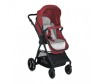 - Bertoni (Lorelli) Starlight - Bertoni (Lorelli)  Starlight