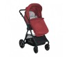 - Bertoni (Lorelli) Starlight - Bertoni (Lorelli)  Starlight