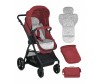 - Bertoni (Lorelli) Starlight - Bertoni (Lorelli)  Starlight