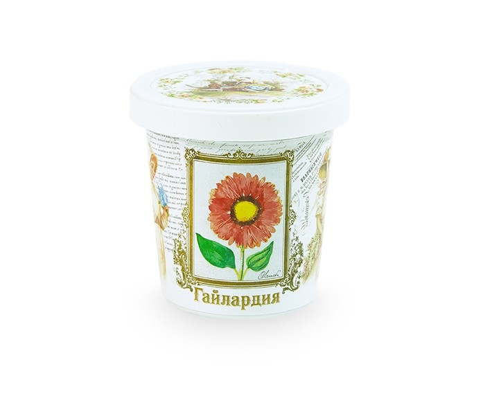  Rostokvisa    