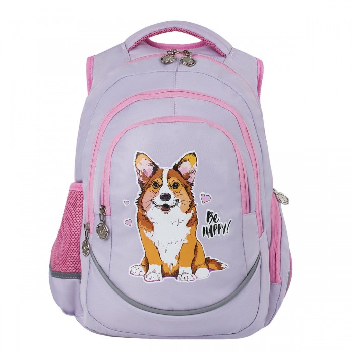  Brauberg Special  Corgy dog