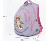  Brauberg Special  Corgy dog - Brauberg Special  Corgy dog