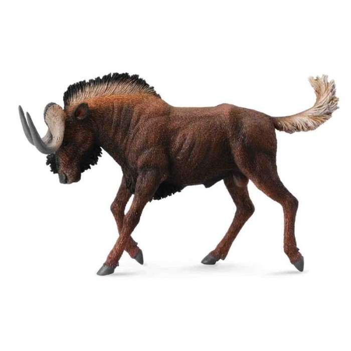  Collecta ׸  L