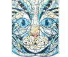      olor blue cat 2 4 -    olor blue cat 2 4