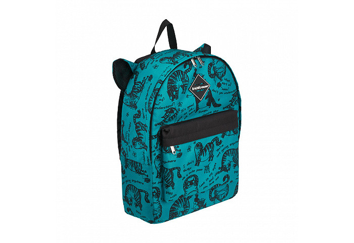  ErichKrause  EasyLine Zen Cats 17 