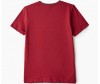 Elaria    Sfb-03-4 - Elaria    Sfb-03-4