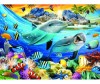 Prime 3D     - Prime 3D     10047