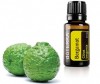  doTERRA   Bergamot - doTERRA   Bergamot