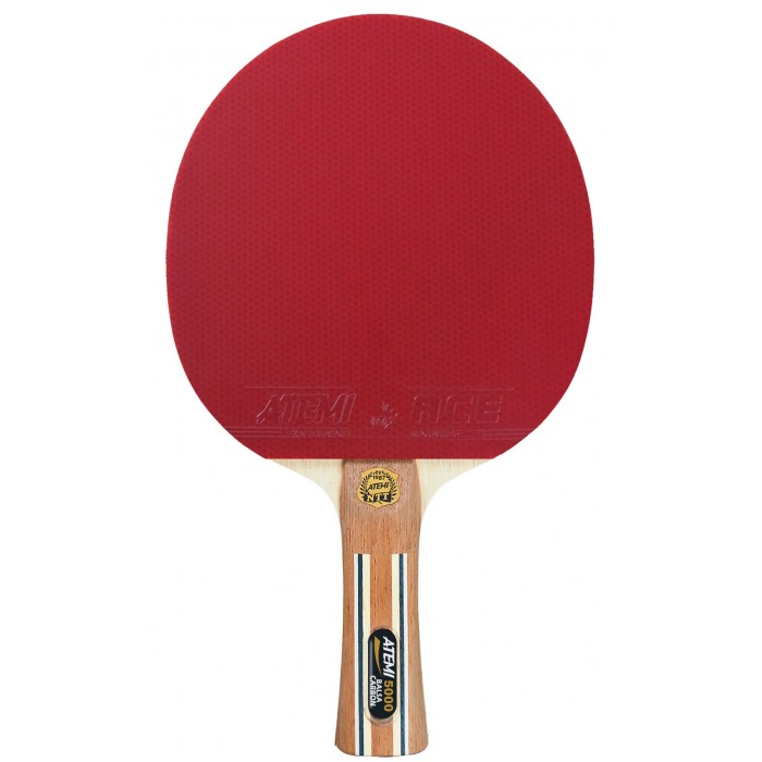  Atemi Pro     5000 AN